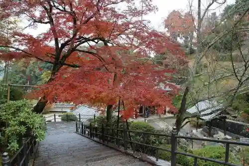 岡寺（龍蓋寺）の建物その他