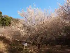 壽命院 永徳寺(栃木県)