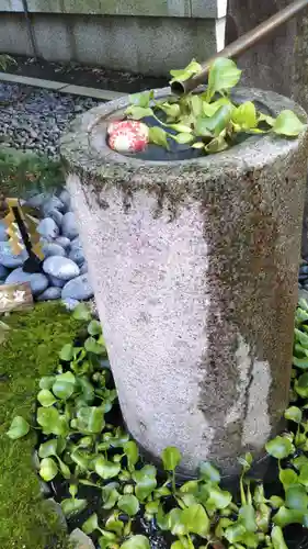 行田八幡神社の庭園