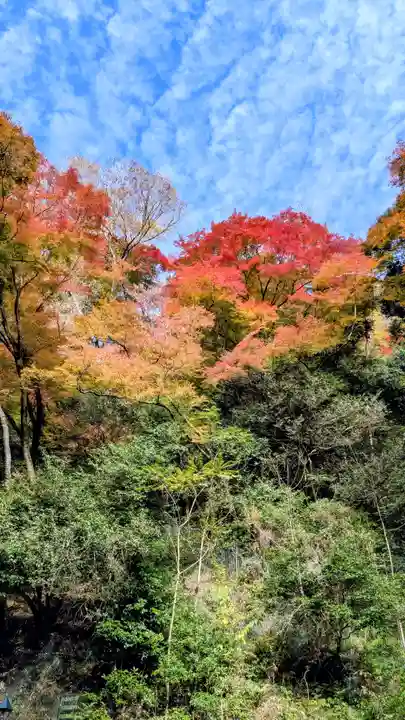 勝尾寺(大阪府)