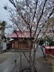 八幡宮(神奈川県)