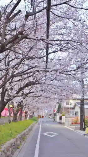 平野神社の周辺