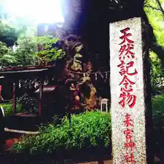 來宮神社の建物その他