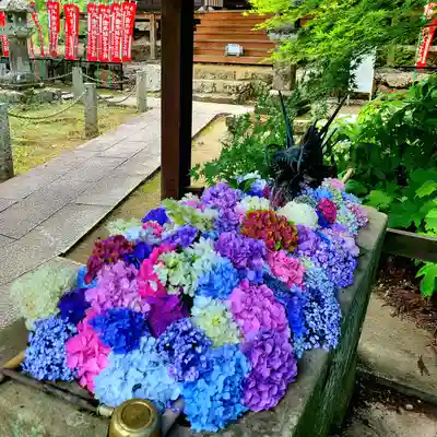 普門寺(切り絵御朱印発祥の寺)(愛知県)