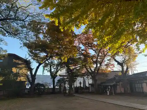 八幡橋八幡神社(神奈川県)