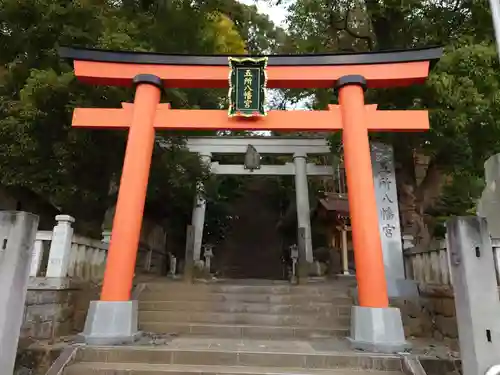 五所八幡宮の鳥居