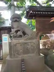 月見岡八幡神社の狛犬