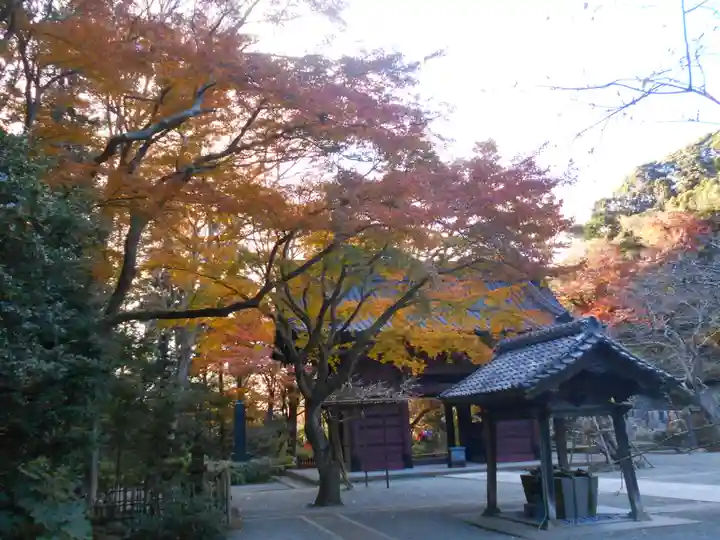 妙本寺のその他建物