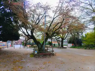 野見神社（今伊勢町）の自然