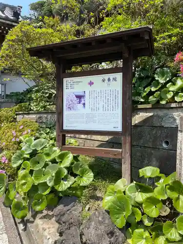 安養院　(田代寺）の歴史