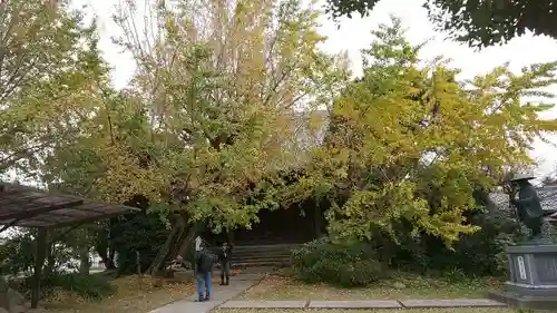 祐専寺のその他建物