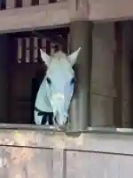 伊勢神宮外宮(豊受大神宮)の{uncategorized: "未分類", other: "その他", undefined: "問題あり", building: "その他建物", grave: "お墓", sacred_gate: "鳥居", guardian: "狛犬", statue: "像", buddha: "仏像", history: "歴史", nature: "自然", garden: "庭園", animal: "動物", pagoda: "塔", temizu: "手水舎", mountain_gate: "山門・神門", sanctuary: "本殿・本堂", subordinate: "末社・摂社", art: "芸術", scenery: "景色", jizo: "地蔵", ema: "絵馬", goshuin: "御朱印", omikuji: "おみくじ", items: "授与品その他", amulet: "お守り", goshuincho: "御朱印帳", eats: "食事", festival: "お祭り", votive_dance: "神楽", shichigosan: "七五三参", wedding: "結婚式", experience: "体験その他", initially: "初詣", around: "周辺", anti_infection: "感染症対策"}