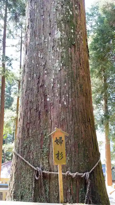 恵那神社(岐阜県)