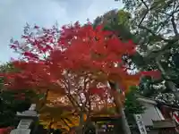 南都鏡神社(奈良県)