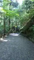 鞍馬寺(京都府)