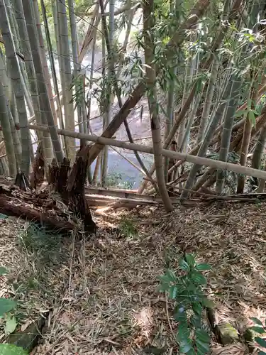 中山神社の自然