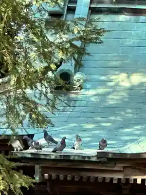 鶴嶺八幡宮(神奈川県)