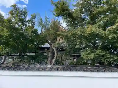 瑞泉院(京都府)