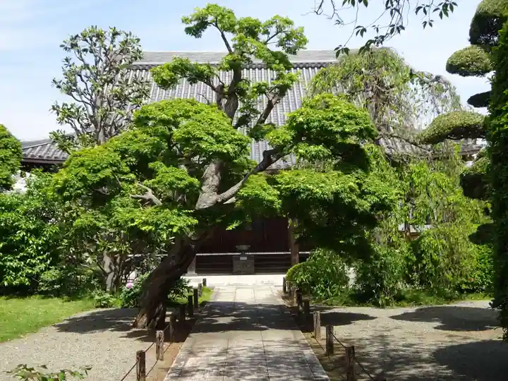 瑞雲寺の本殿・本堂