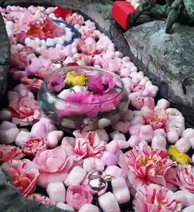 三輪神社の手水舎(2021年03月11日(木) 21時29分20秒投稿)