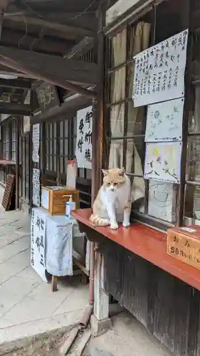 雀神社(茨城県)