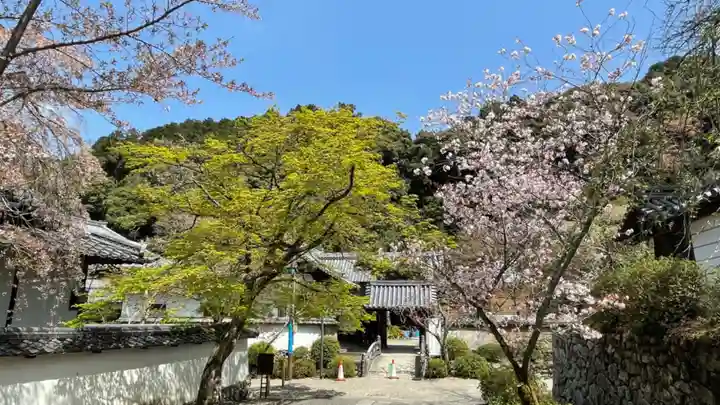 金剛寺(大阪府)