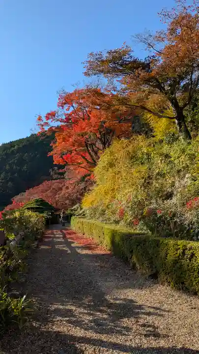 善峯寺(京都府)