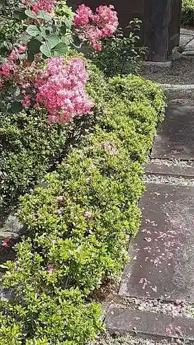 西方山極楽寺の自然