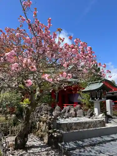 宮城縣護國神社の自然