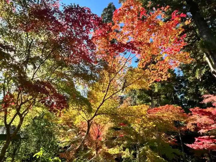 白山神社(滋賀県)