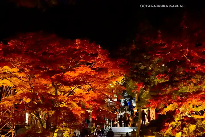 大山阿夫利神社(神奈川県)