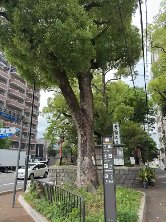 若一神社(京都府)