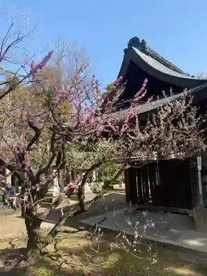 北野天満宮(京都府)