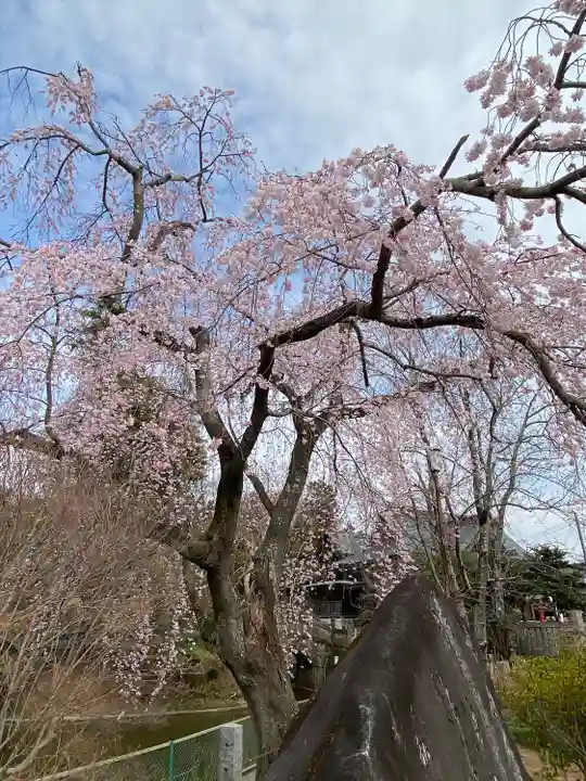 境香取神社の庭園
