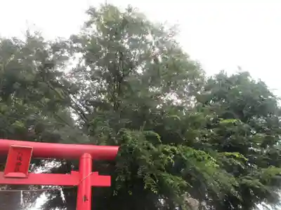 八坂神社(神奈川県)