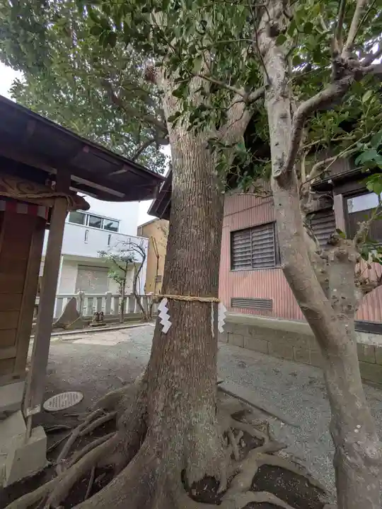 八幡大神(神奈川県)