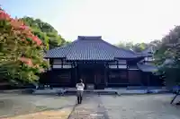 蓮教寺の本殿・本堂