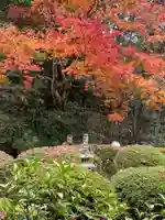 詩仙堂(丈山寺)の自然