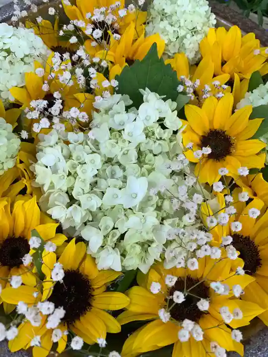 彌都加伎神社の手水舎