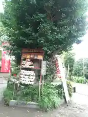 矢向日枝神社の建物その他