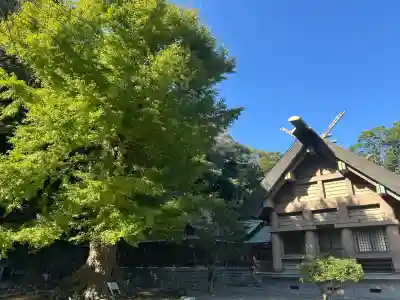 安房神社(千葉県)