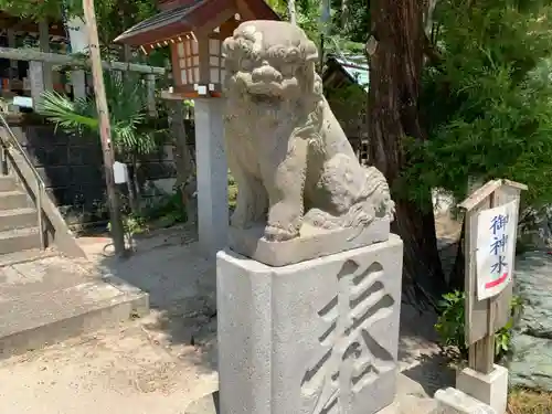 天津神明宮の狛犬