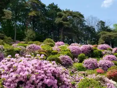 塩船観音寺(東京都)