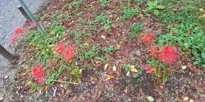 平野神社(京都府)