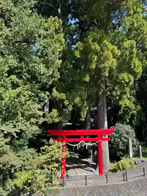 須山浅間神社(静岡県)
