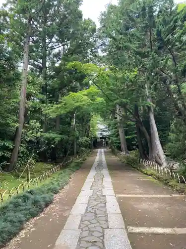 寿福寺の景色