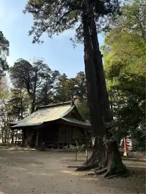 東蕗田天満社(茨城県)