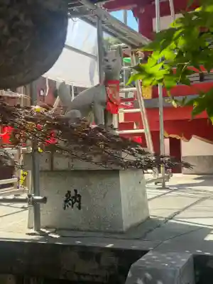茶ノ木稲荷神社(東京都)