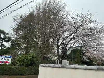 法林寺(千葉県)