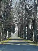 大宮神社(茨城県)